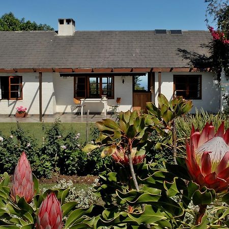 Heatherhill Farmhouse - Sea & Mountain Views Plettenberg Bay Exteriör bild
