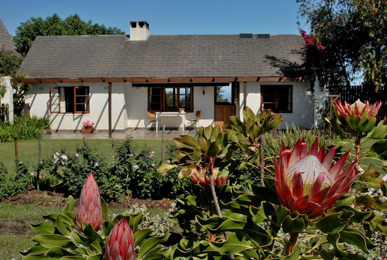 Heatherhill Farmhouse - Sea & Mountain Views Plettenberg Bay Exteriör bild