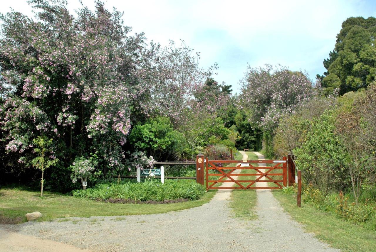 Heatherhill Farmhouse - Sea & Mountain Views Plettenberg Bay Exteriör bild